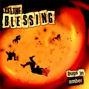 Bugs in amber
